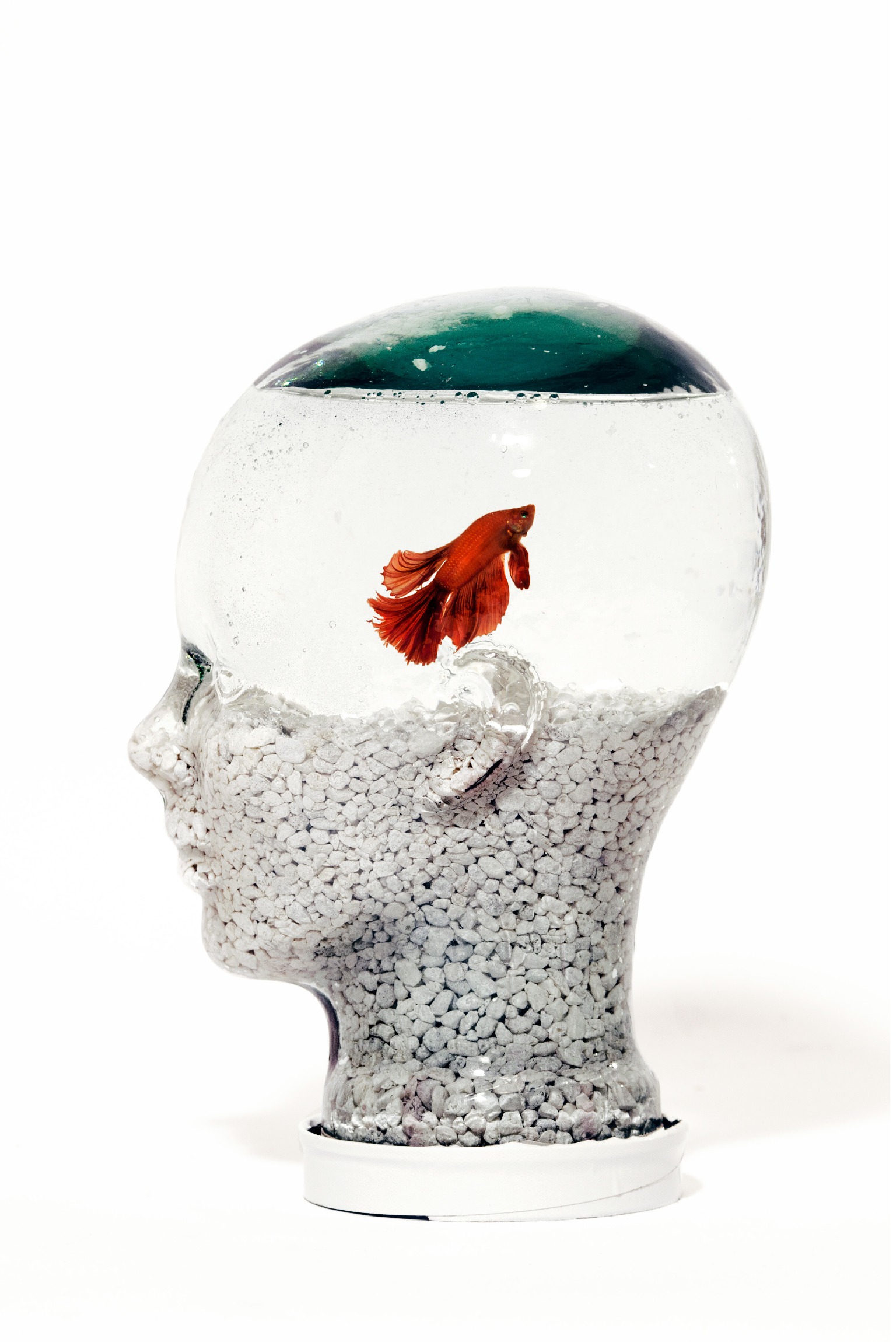 Glass Head Fish Tank by Josealberto Herrera SVA Design
