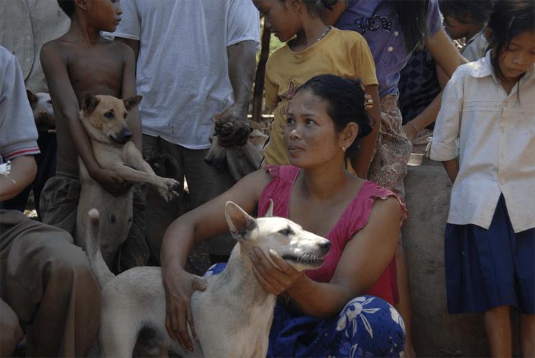 Request for Donated Equipment to Cambodia Singapore Veterinary
