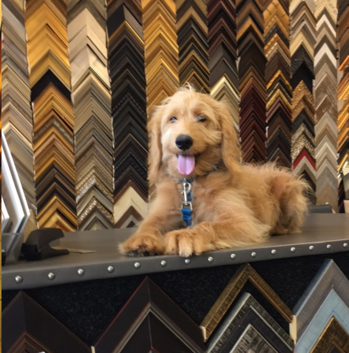 SVANDA'S PICTURE FRAMING picture framing, frames in brookfield, ct