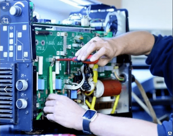 Quisque id maximus leo