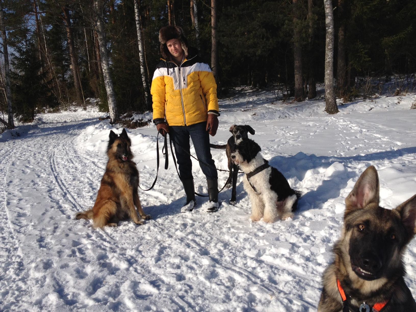 Om oss Svartvit Hund