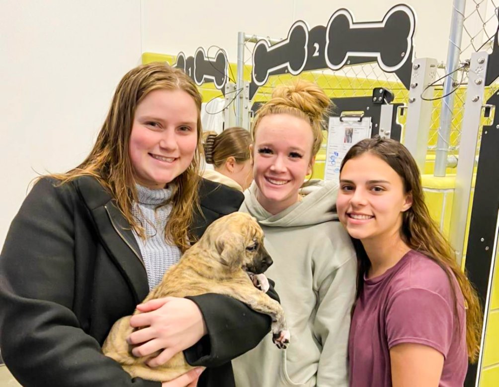 Souris Valley Animal Shelter Minot, North Dakota