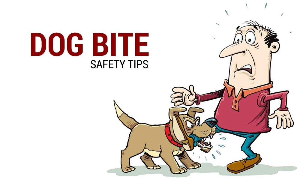 Dog Bite Safety Tips