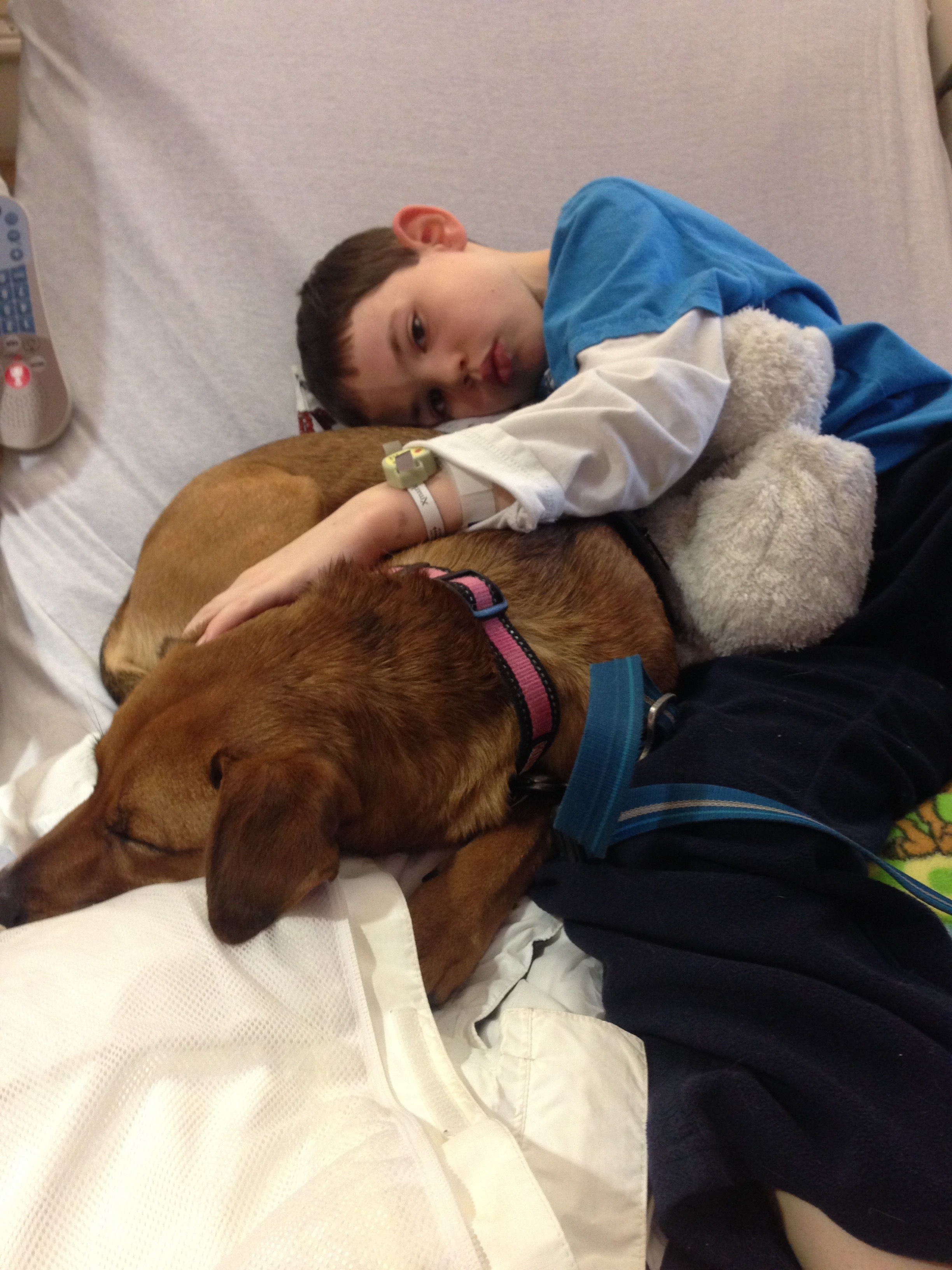 A Boy’s Best Friend