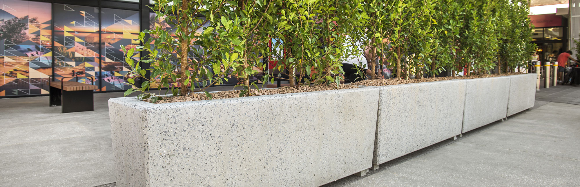 Concrete Planters Planters Melbourne Concrete Pipe Planters