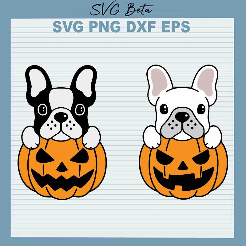 Halloween Pumpkin Bulldog SVG, Halloween Bulldog SVG, Halloween Dog SVG PNG