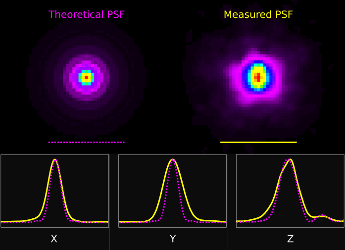 Point Spread Function (PSF) Scientific Volume Imaging