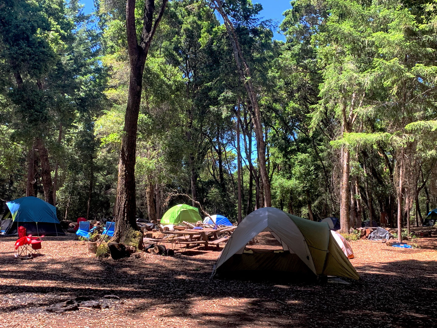 Chesebrough Scout Reservation Silicon Valley Monterey Bay Council,Boy