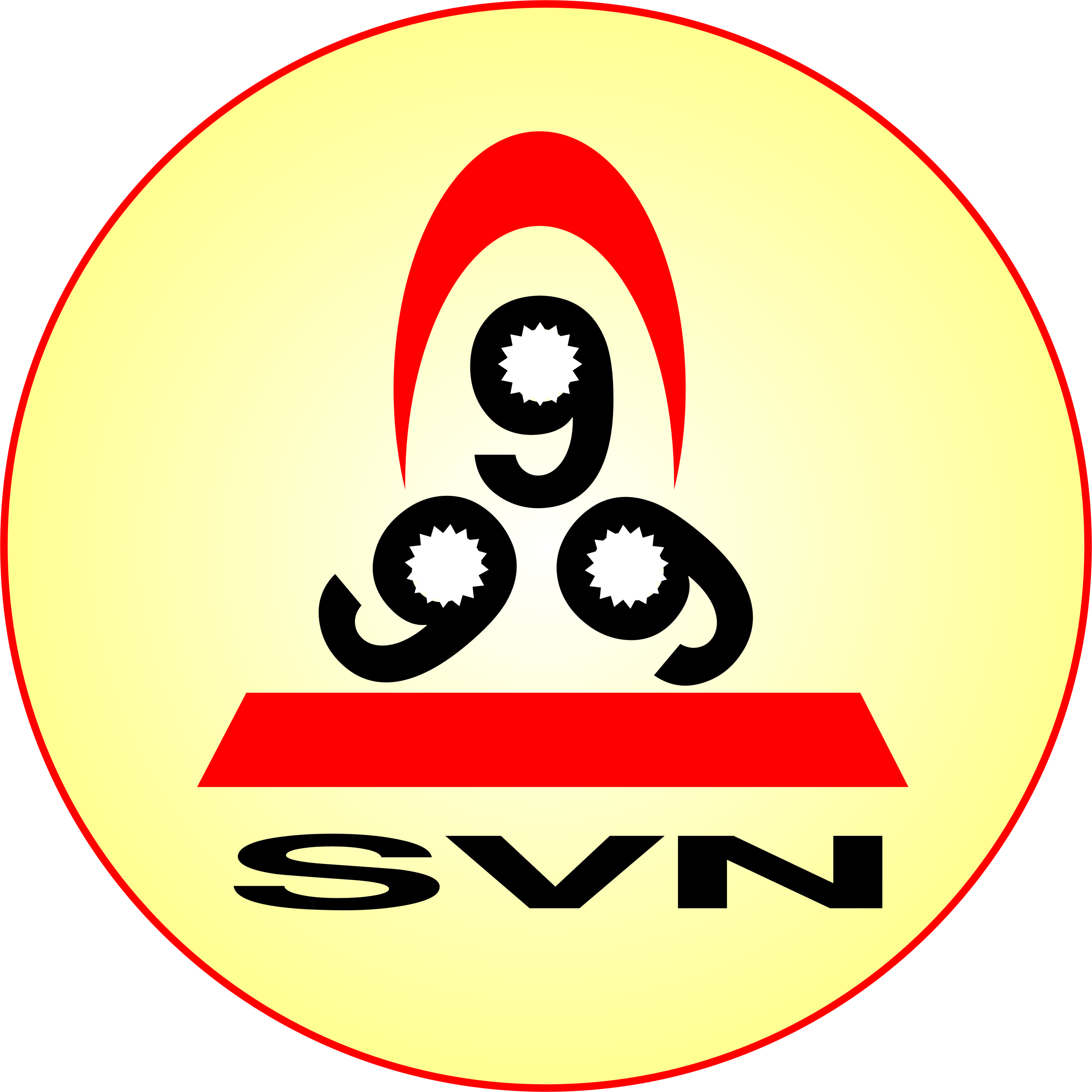 SVN Solutions Pvt. Ltd.