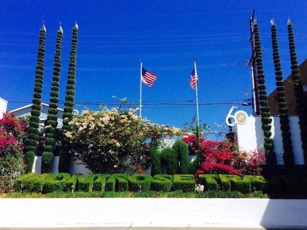 Montrose Travel Agency, Туристические услуги в США — SVOI.us