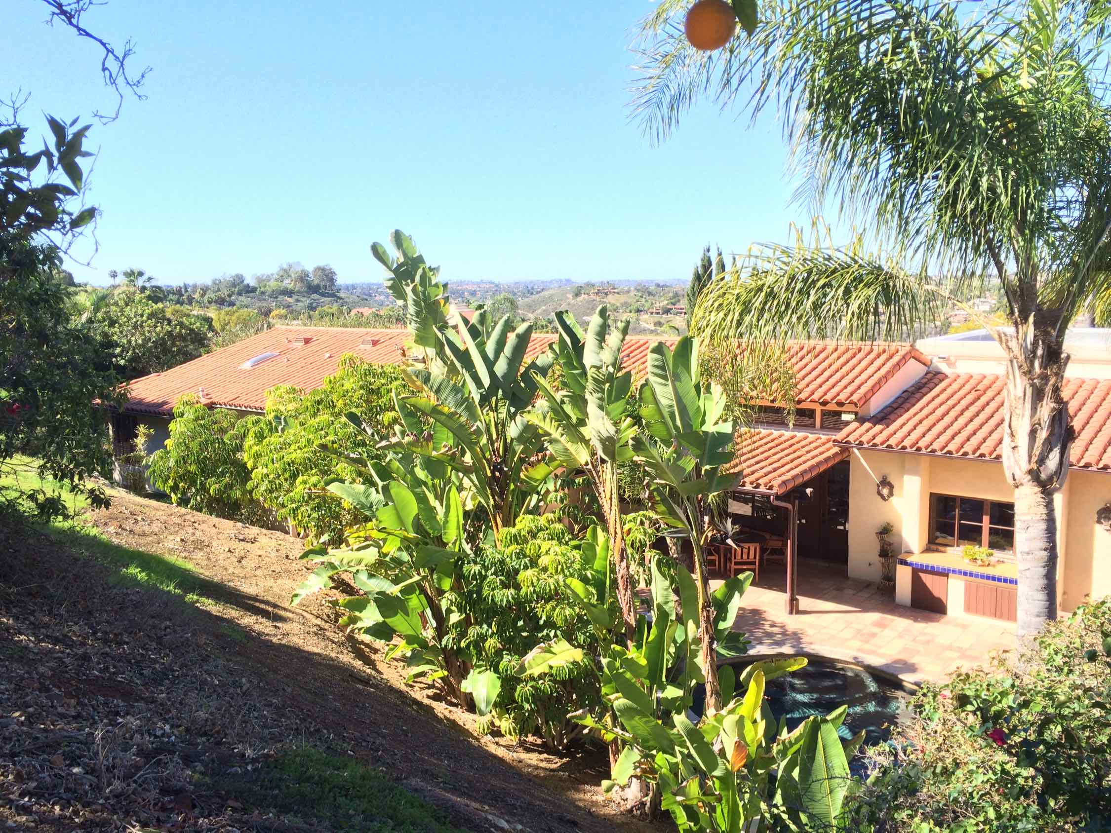 The Groves Homes for Sale Rancho Santa Fe