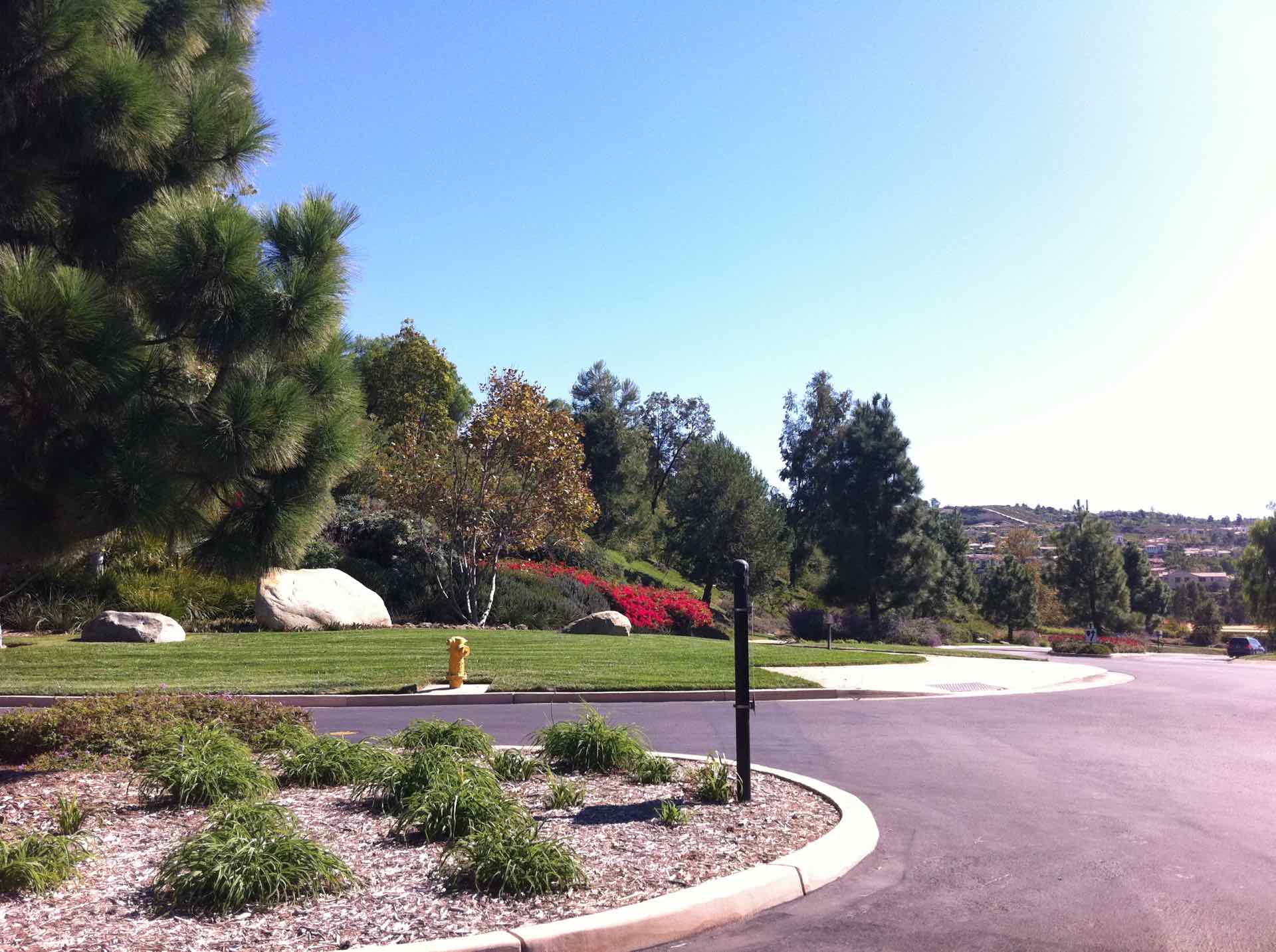 The Crosby Homes for Sale Rancho Santa Fe