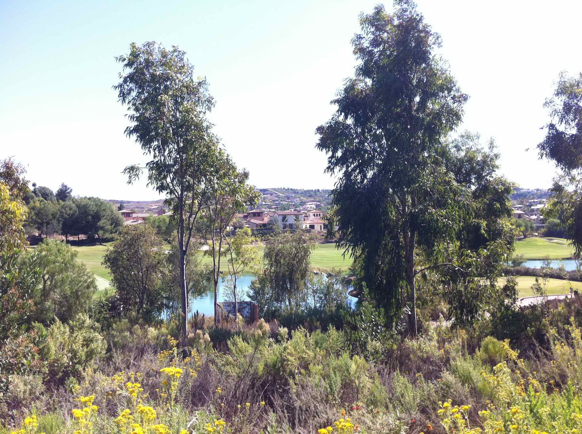 The Crosby Homes for Sale Rancho Santa Fe