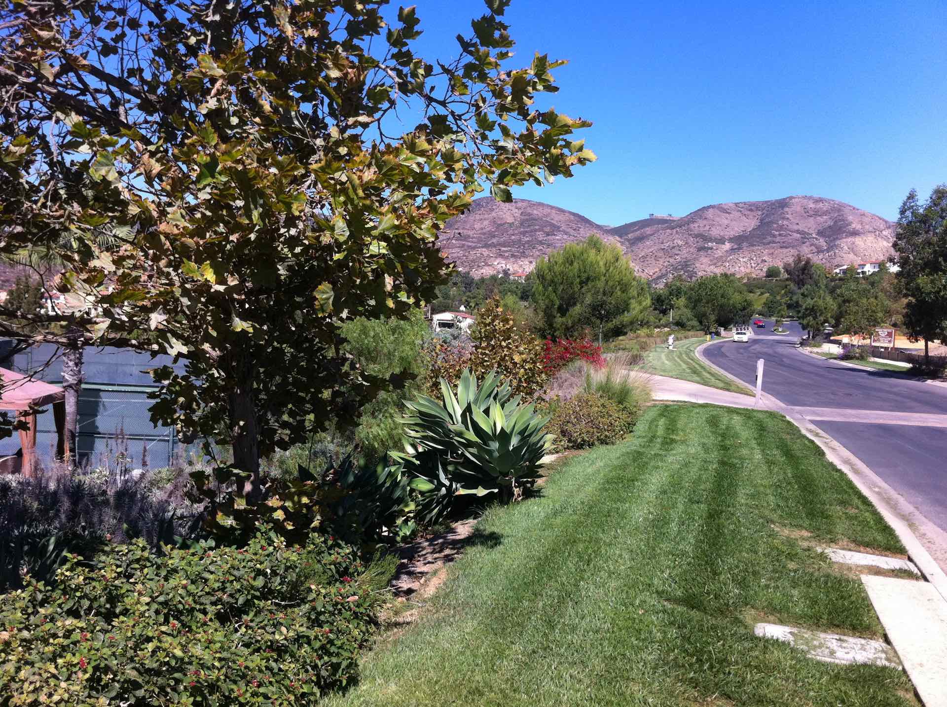 The Crosby Homes for Sale Rancho Santa Fe