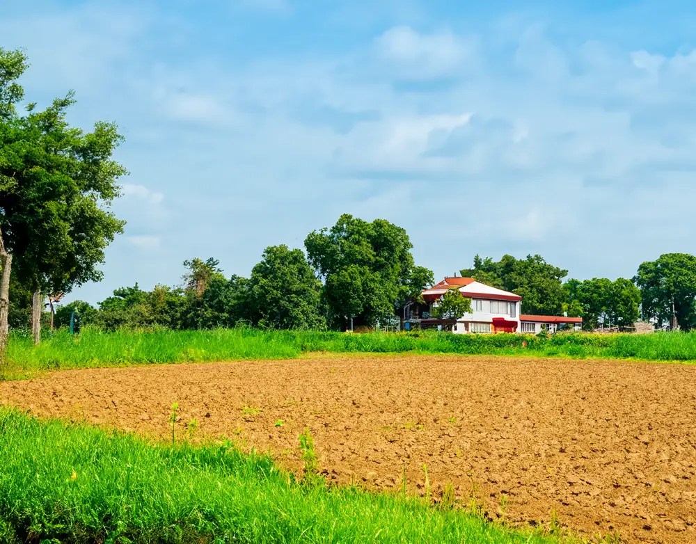 Individual Farms SVR Farms individual farmland for sale