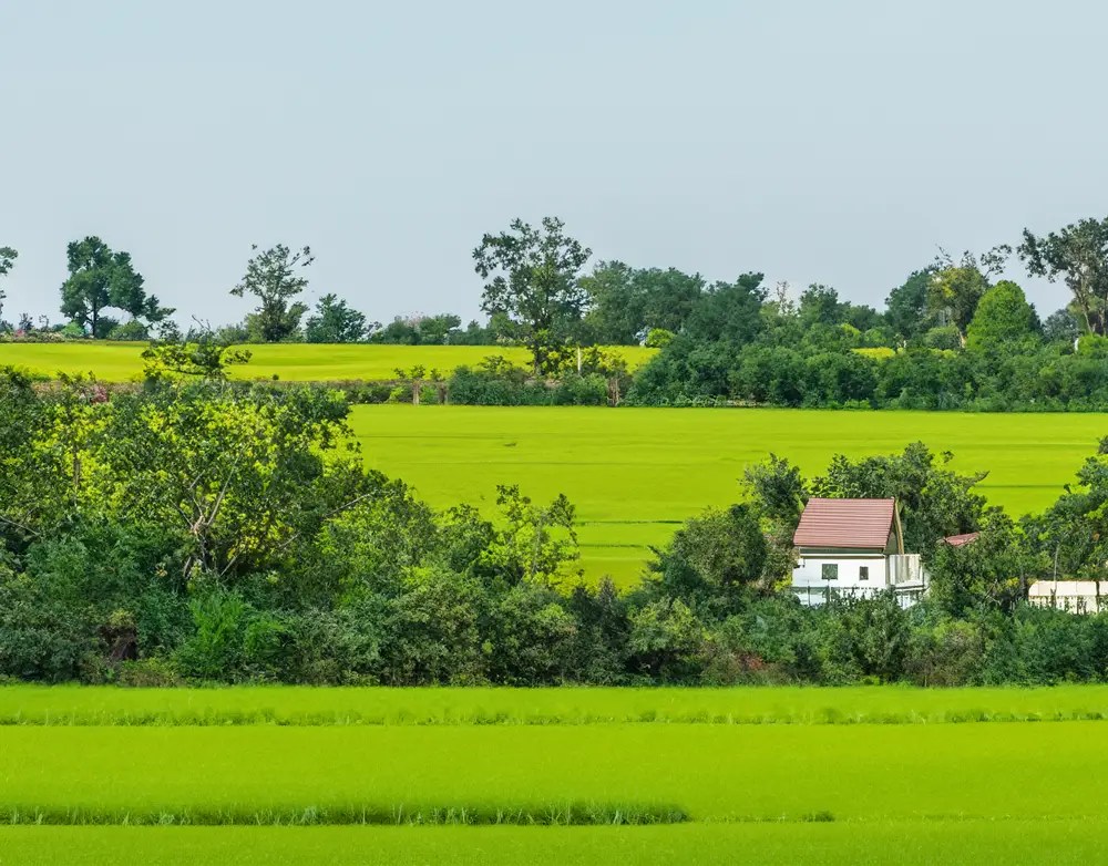 Individual Farms SVR Farms individual farmland for sale