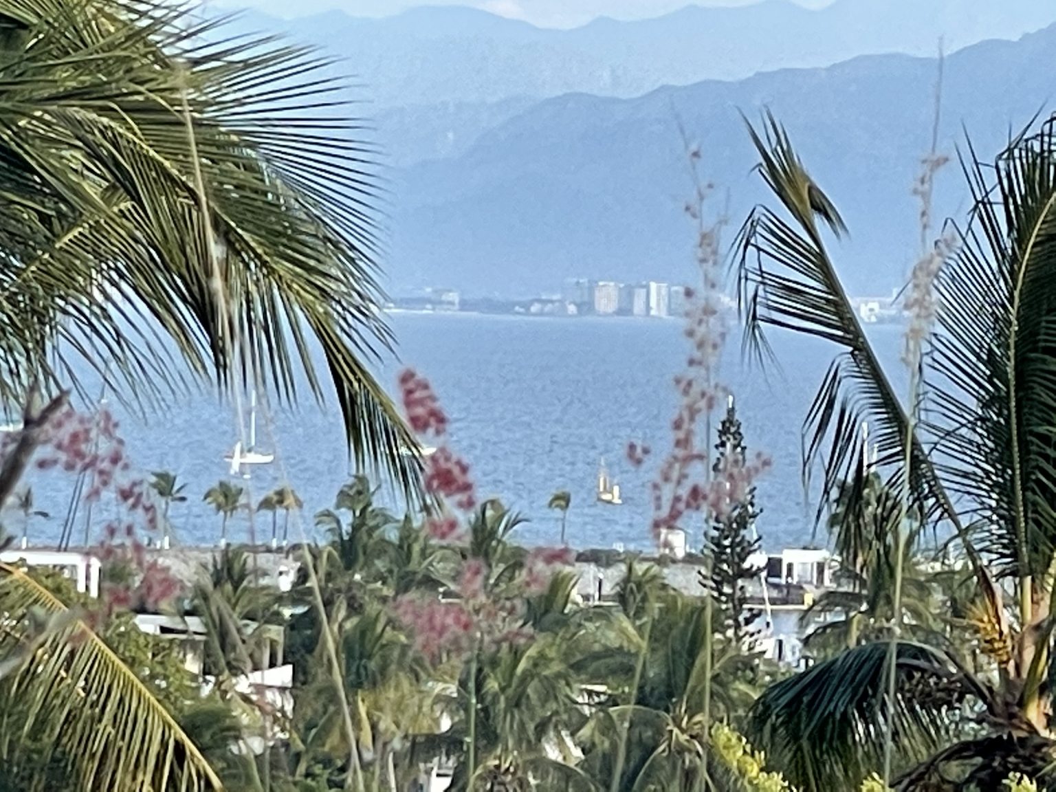 La Cruz De Huanacaxtle Weather at Eileen Holmes blog