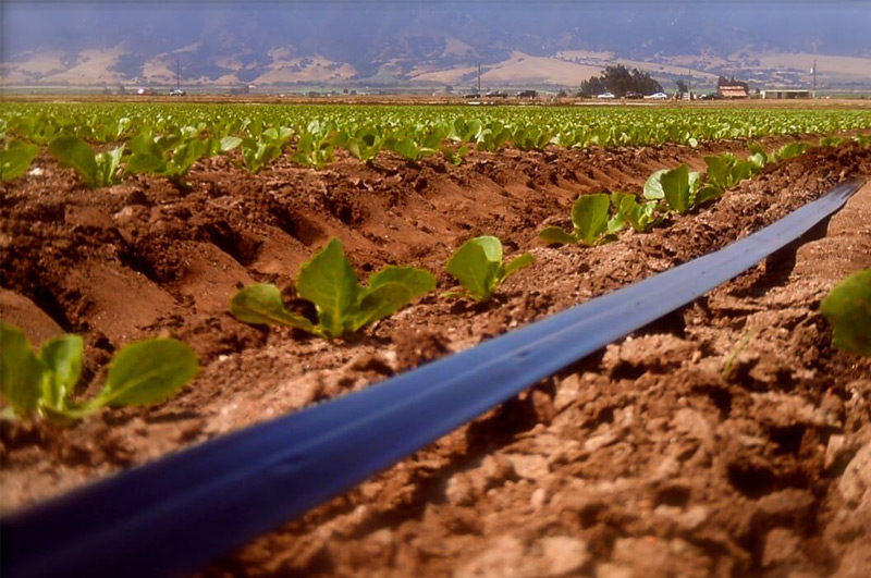 Products The leading manufacturer of Agriculture & Cashing uPVC