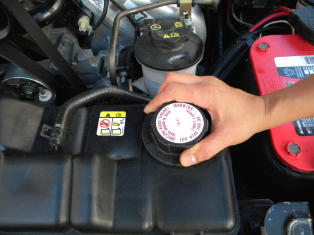 Terminator FAQs | Stang Shifter Gaskets