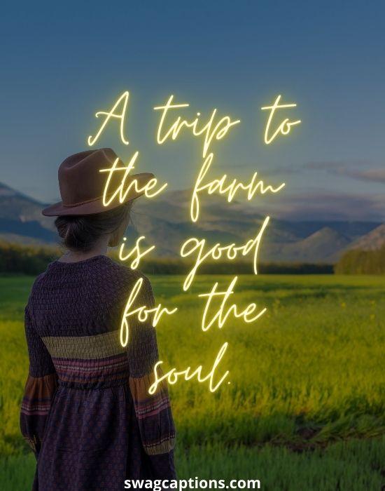 Best Farm Captions And Quotes For Instagram In 2024