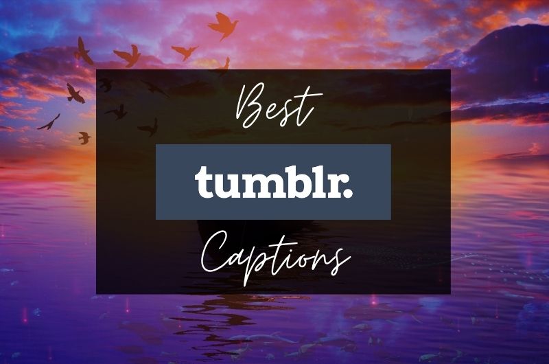 Best Tumblr Captions and Quotes for Instagram in 2022