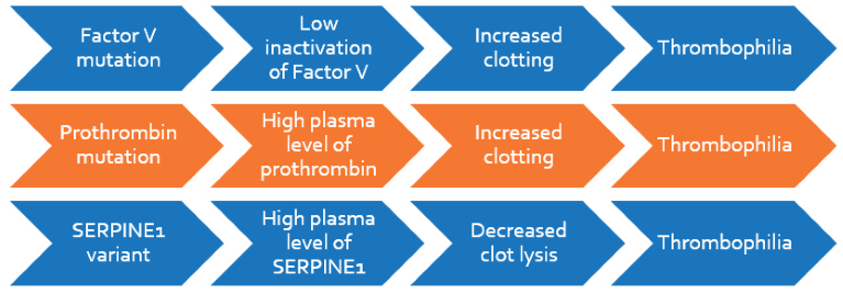 How to prevent Miscarriage and Preeclampsia, and have a safe Pregnancy