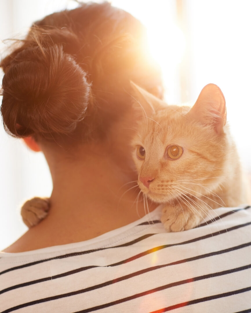 Pet Insurance Oklahoma City, OK 73108 Swaim Serum Co