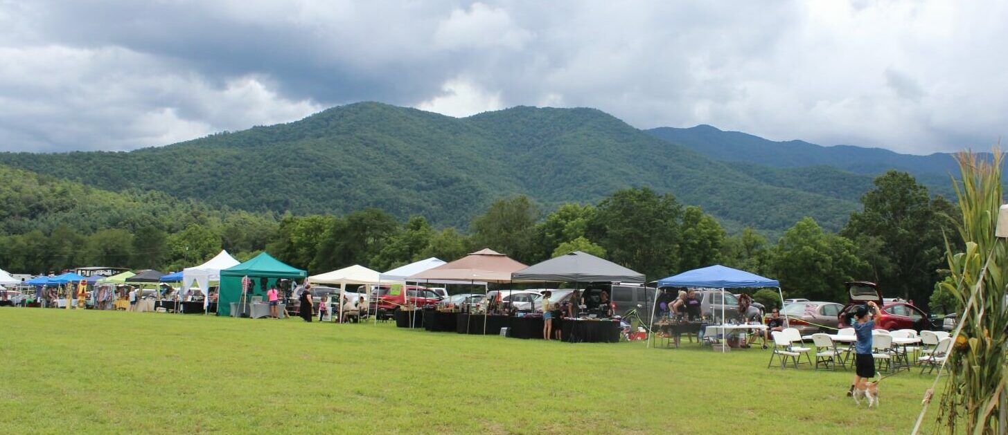 Wilkes County Nc 2023 Fair Here Comes The Fair, 2022! | North Carolina Cooperative Extension