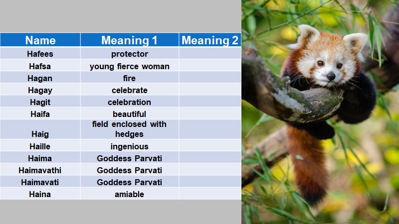 BABY NAMES WITH ALPHABET H » SWAKOSH