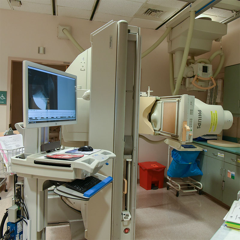 Low Radiation Risks from Videofluoroscopic Swallow Study (Adults