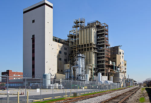 Best Houston Transplant The Official 2013 Ballot Swamplot