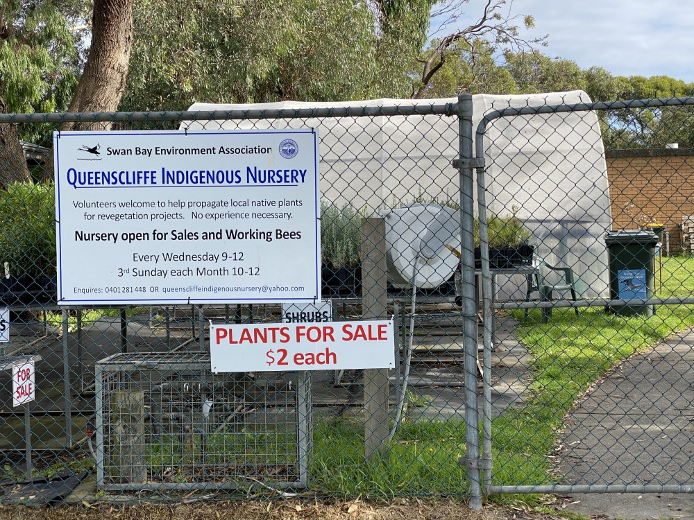 Queenscliffe Indigenous Nursery Swan Bay Environment