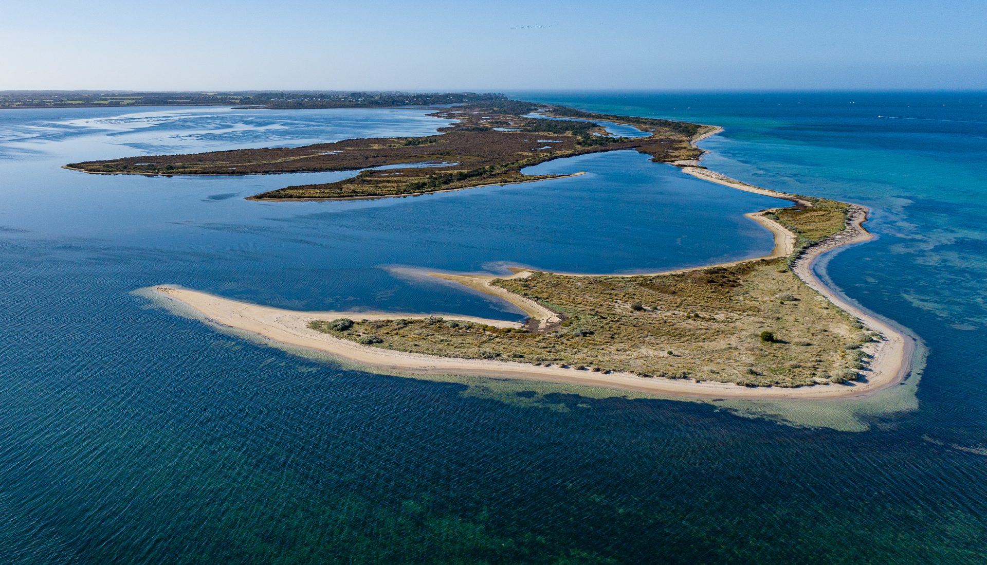 Introducing Swan Bay Swan Bay Environment