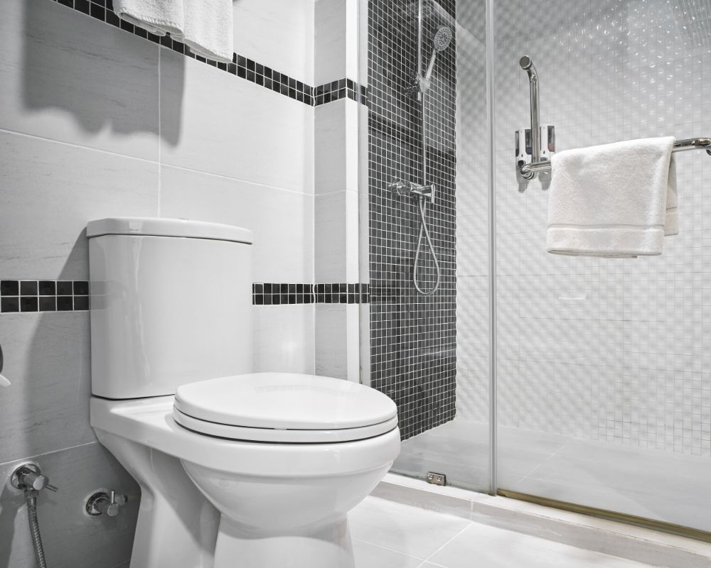 Best One Piece Toilet - Asking List