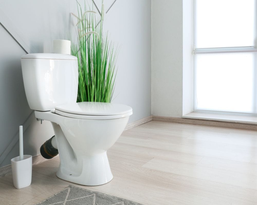 Best Pressure Assist Toilet