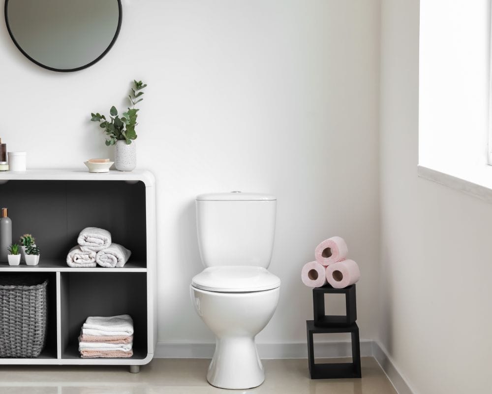 5 Best Small Compact Toilets For Small Spaces 2024