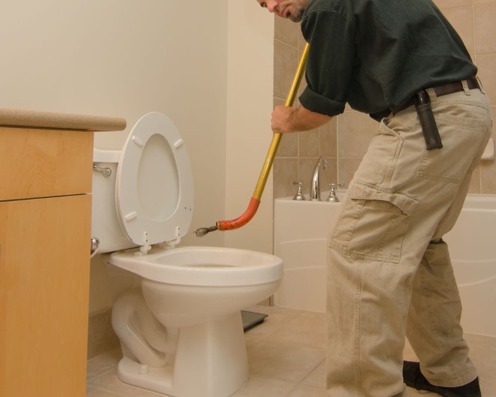 Best Toilet Auger