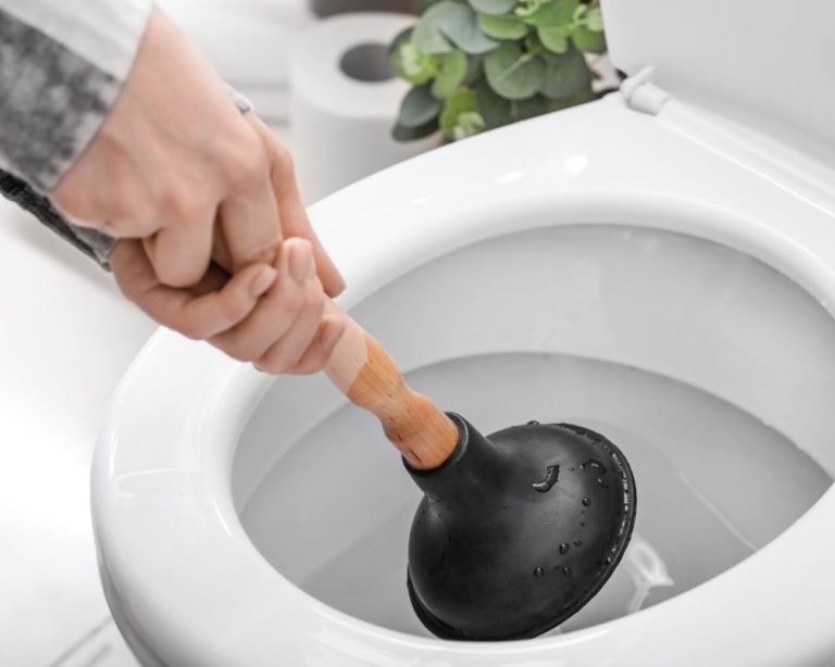 Best Toilet Auger