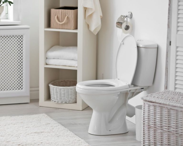 Best Rear Discharge Toilet Reviews