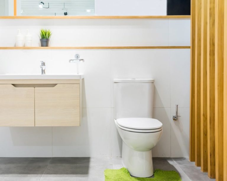 Top 4 Best Short Depth Toilets 2425in & Guide For 2022 SwankyDen