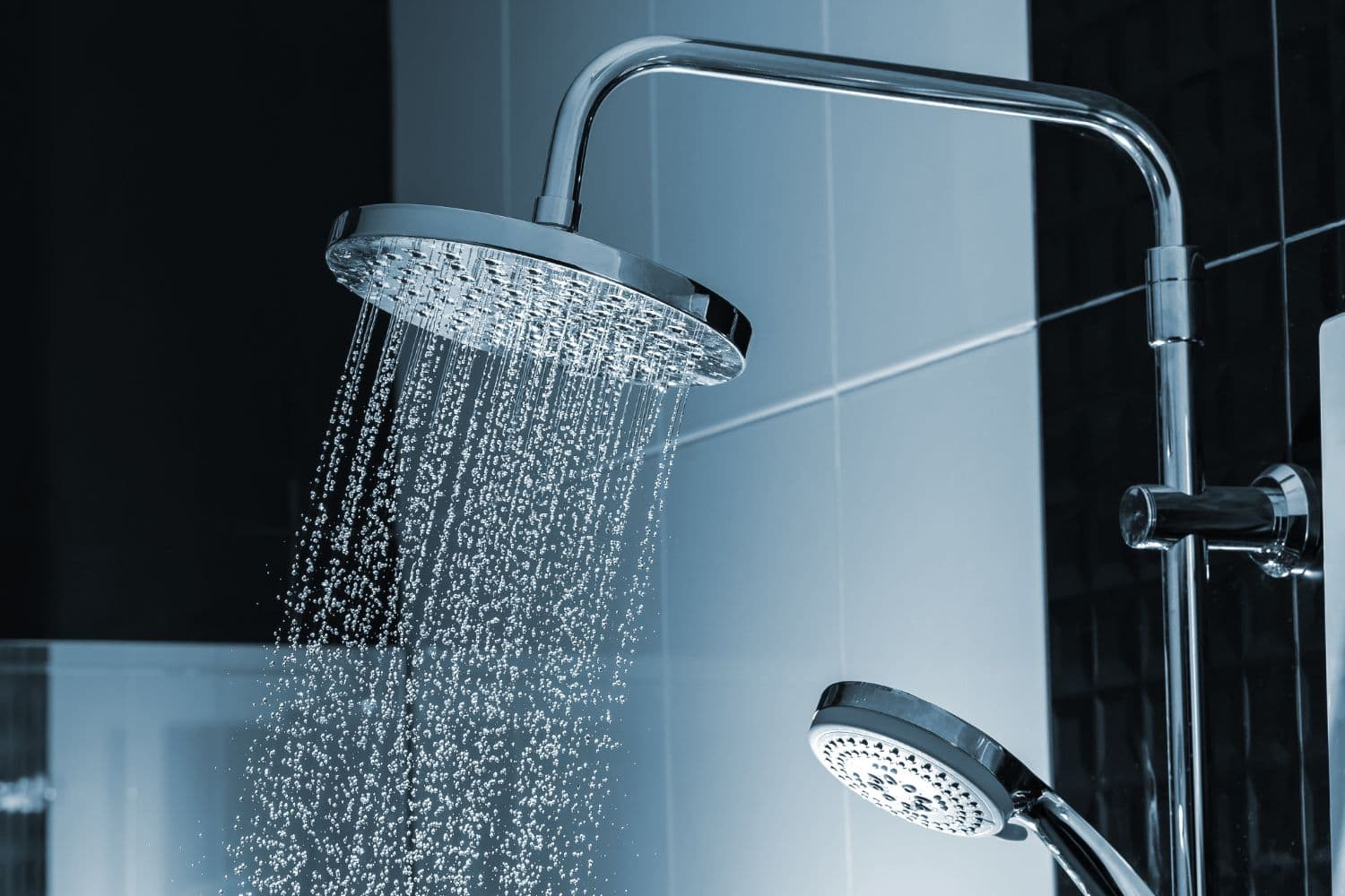 Best Dual Shower Head