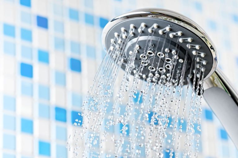 Best Low Flow Shower Head