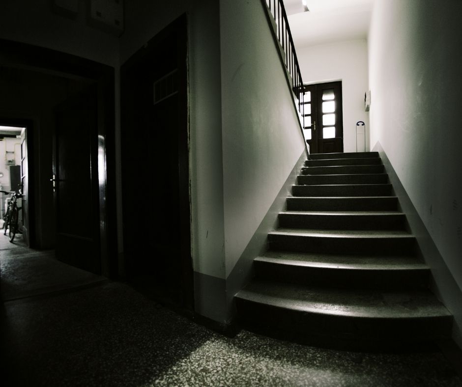 5 Best Basement Odor Eliminators in 2022 - swankyden.com