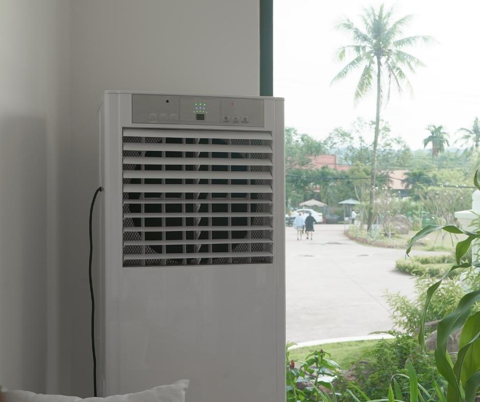 What is an Ion Fan? - swankyden.com