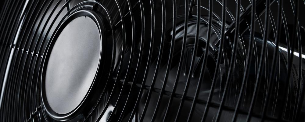 What is an Ion Fan? - swankyden.com