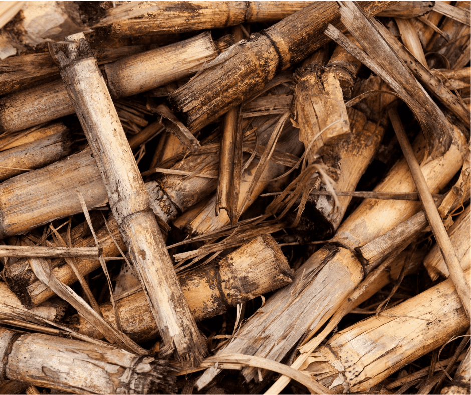 Can Bamboo Furniture Get Wet?