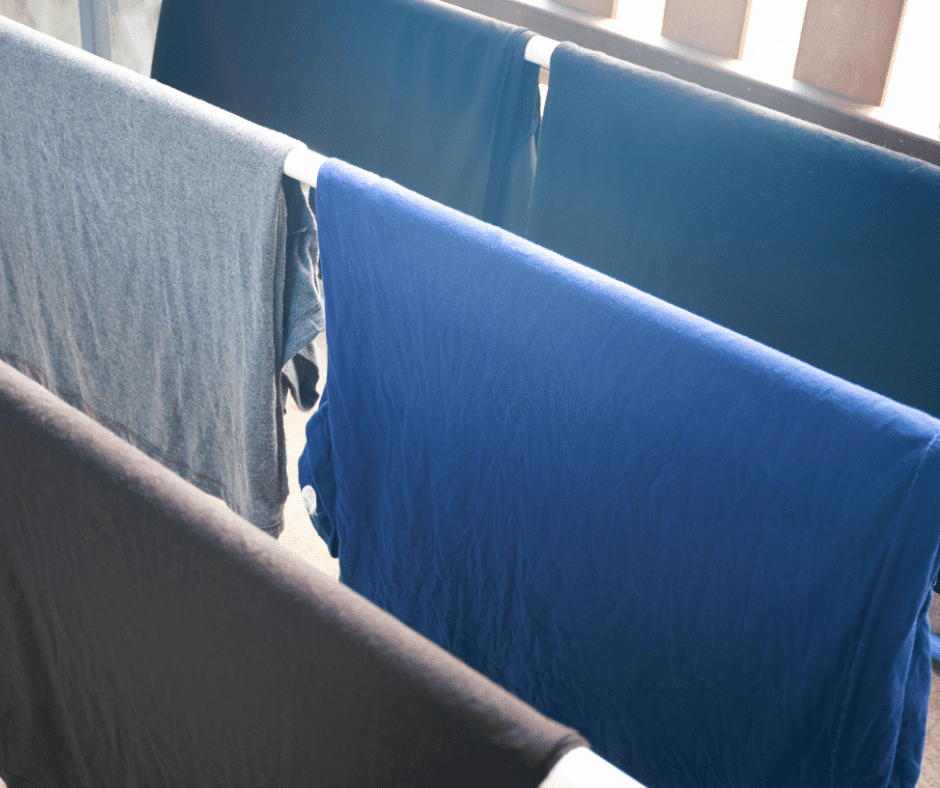 When Can Clothes Return After Bed Bug Treatment?