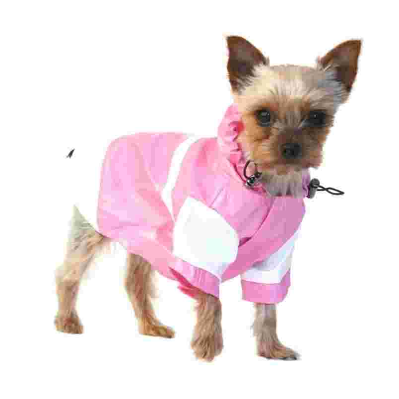 Local Dog Boarding Lawrenceville, GA Swanky Paws Pet Spa