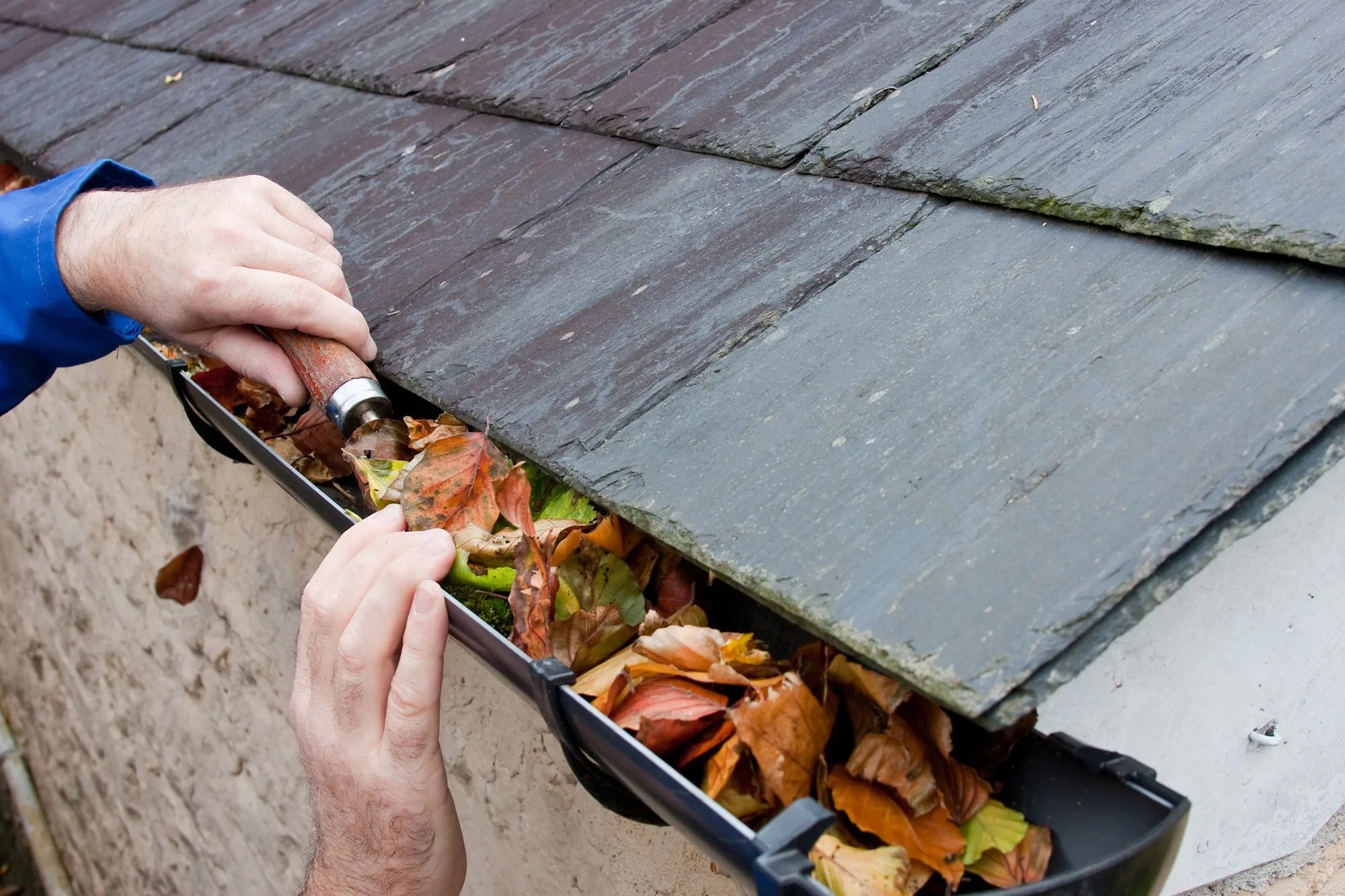 What Is the Average Cost of Gutter Cleaning in My Area?