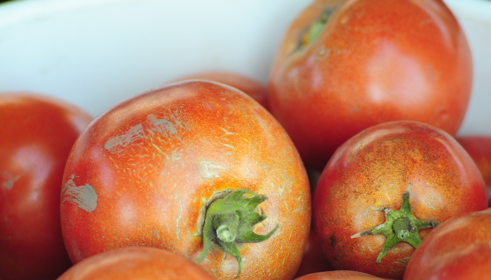 Downtown Ogden, Utah, 2014